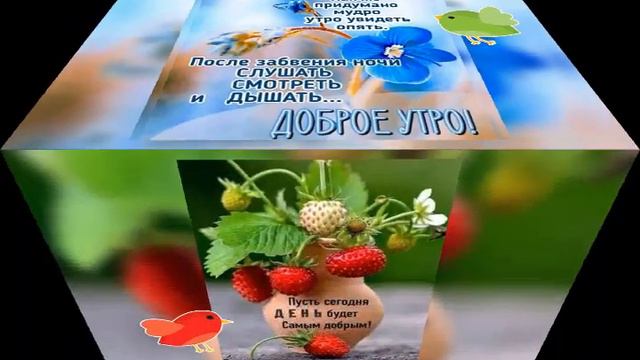 Как же придумано мудро утро увидеть опять. После забвения ночи СЛУШАТЬ, СМОТРЕТЬ и ДЫШАТЬ🕊🙏🏻