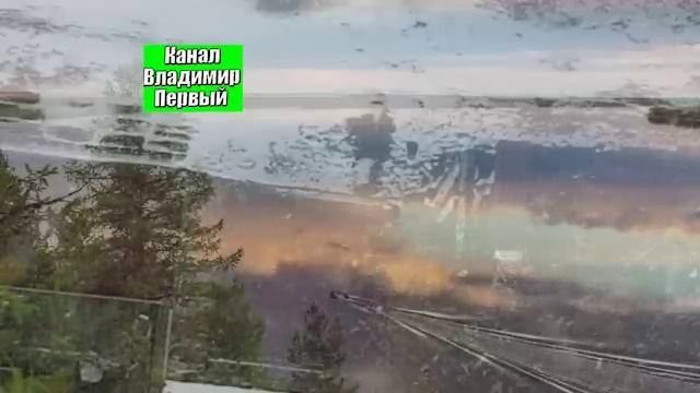 роа