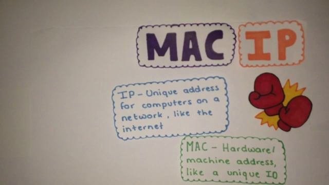 IP MAC DNS LOL