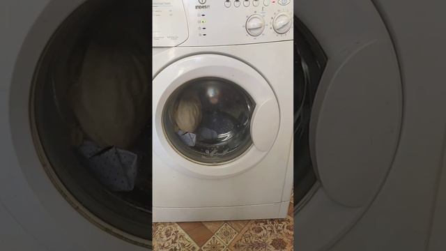 БЕДНЫЙ МЕДВЕДЬ!