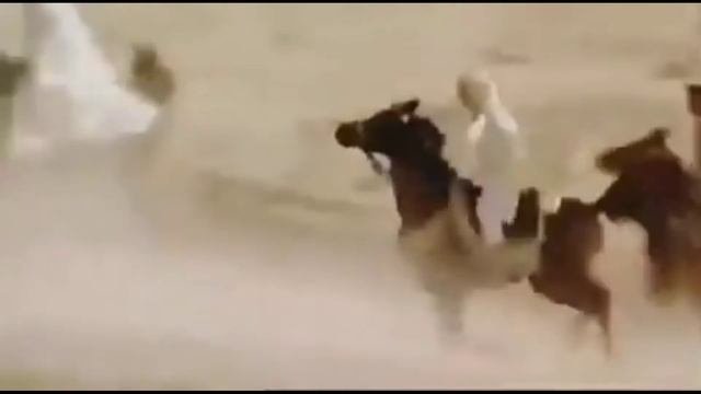 Скачки Рождённый в песках 2003