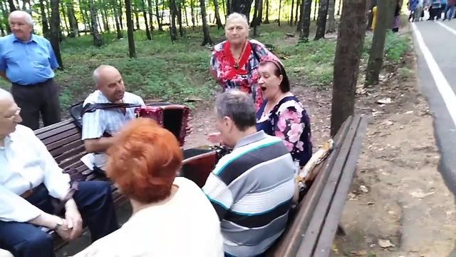 Парк измайлово песни под гармонь