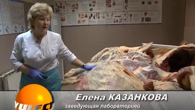 Мясо - как не ошибиться выбирая