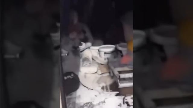 смешнивка 2