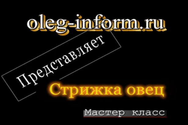 Стрижка овец на oleg-inform.ru