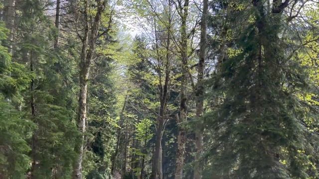 Горная Аджария. Хуло, Таго