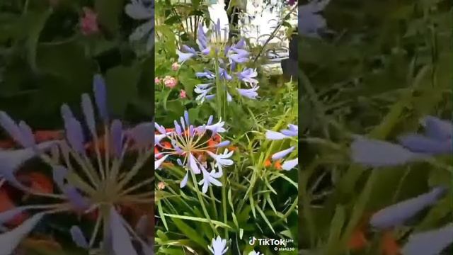 1000419869.mp4