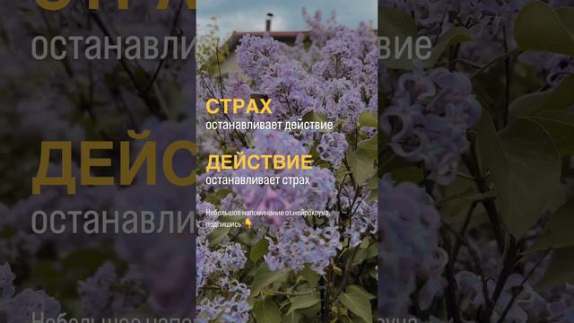 💜 #shorts #саморазвитие #самопознание #психология #коучинг #личностныйрост #нейрокоуч