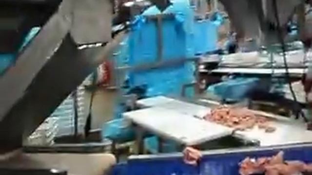 ван дер плуг переработка бройлеров поставка линий