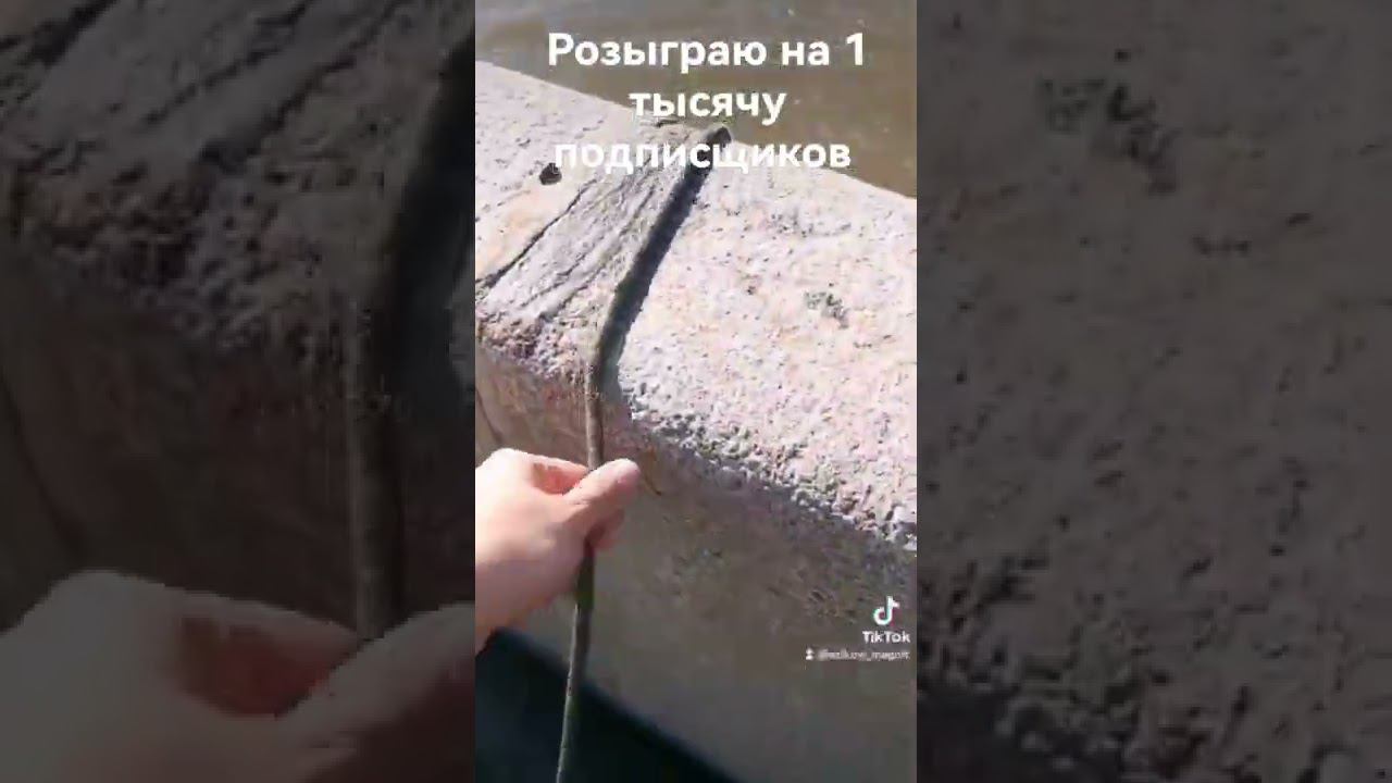 РОЗЫГРЫВАЮ ПОИСКОВЫЙ МАГНИТ, КОТОРЫЙ НАШЁЛ В РЕКЕ ПОКА ДОСТАВАЛ МАГНИТ ТОВАРИЩА