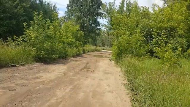 Встреча с волком .It will be fun #huskyIdel