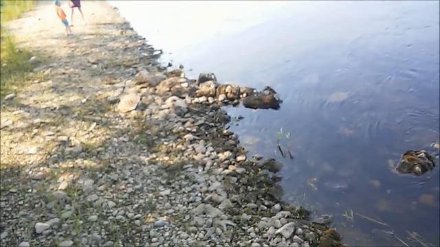 Отдыхаем на Енисее
