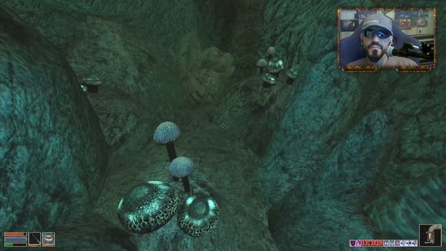 Первое прохождение The Elder Scrolls III: Morrowind Tribunal - 4