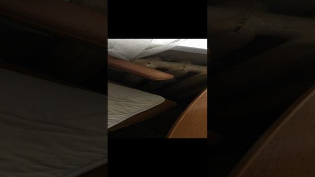 будем делать возвращение всех видео