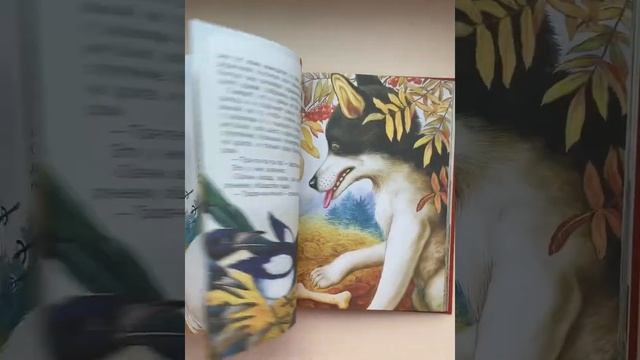 Лесные сказки и истории