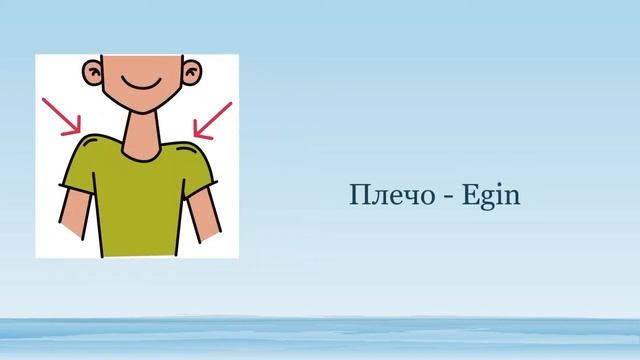 Части тела Rus dili türkmençe. Sapak 8 | Beden agzalary turkmen dilinde #sagjabol