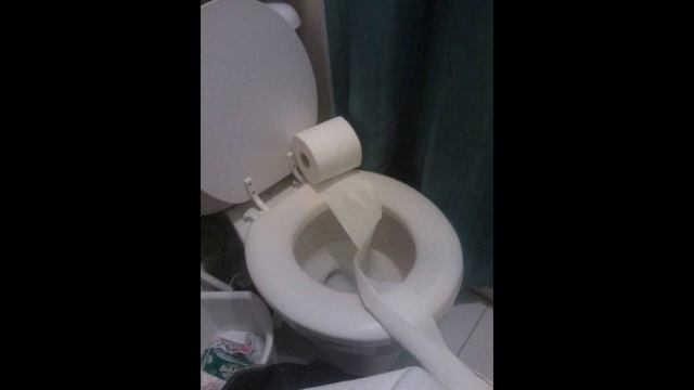 Смешные прикольные картинки! Как выглядит везение.