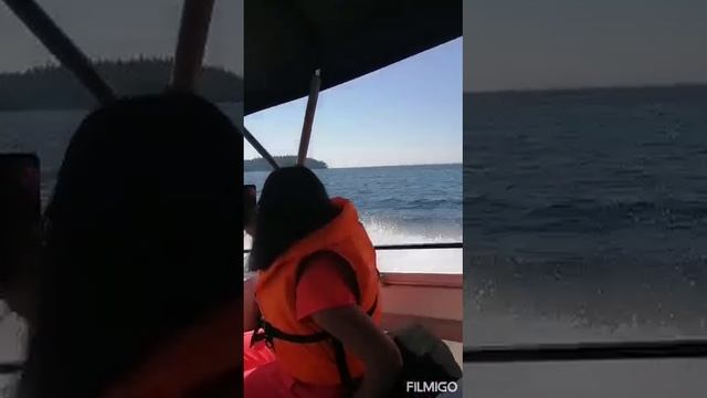 Карелия!!!!!!!! С Валаама на Ладожские шхеры на катере, с ветерком!!!!!!!! ????