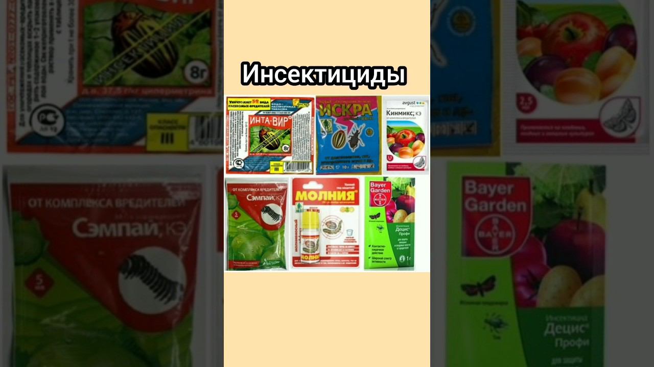 Урок 39. Инсектициды для клубники. Разновидности инсектицидов.