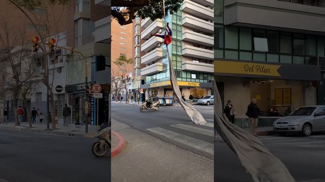 A Web-Swinging Street Performance in Argentina   ViralHog
