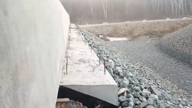 Ролиз Паралайн