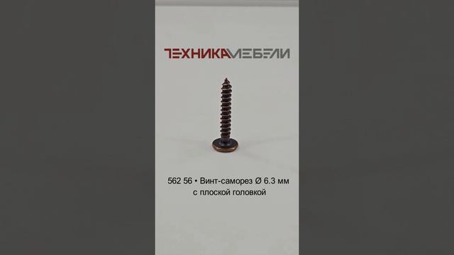 562 56 • Винт-саморез Ø 6.3 мм с плоской головкой шорт