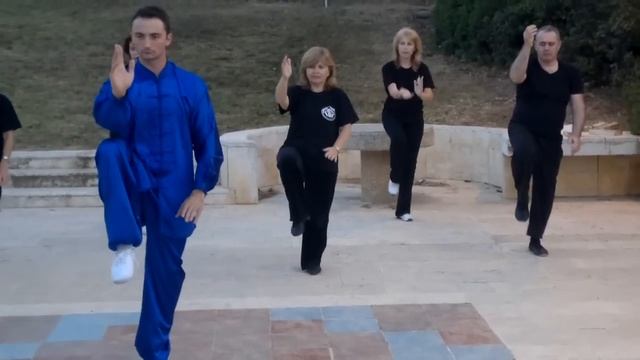 TAICHI   ISRAEL (  8 Forms )