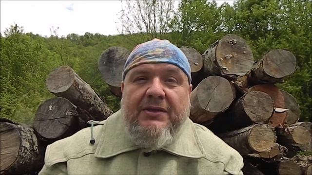 Дао недеяния. Принятие.