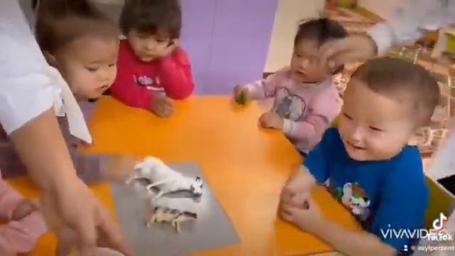 Жануарлармен танысу. Знакомство с животными. Садик, балабақша “Асыл Перзент”.