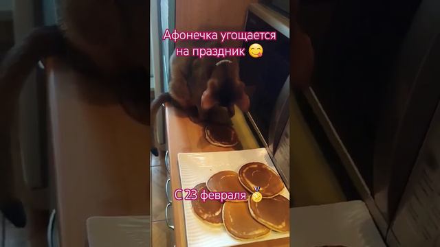 Спасибо большое маме Кате за видео ❤😘 #нашивыпускники #monkeycat #афоня #23февраля #абикитакие #aby