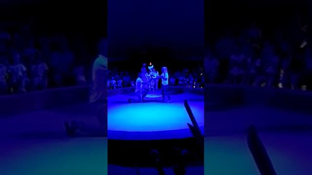 Самое красивое предложение!! Руки и сердца..