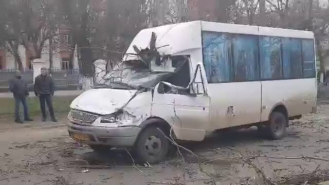 0512: на маршрутку с людьми упало дерево