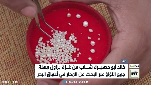 غزة.. البحث عن اللؤلؤ في البحر المحاصر