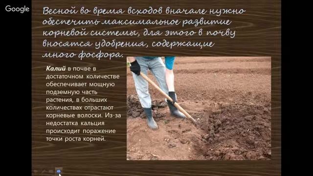 УДОБРЕНИЯ. Разберемся раз и навсегда!!! analysis of fertilizers