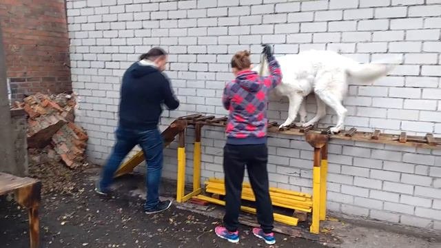 Икар проходит с первого раза!