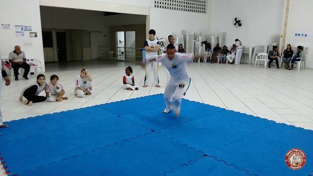 Chutado parafuso / Corkscrew / folha seca parafuso / Capoeira