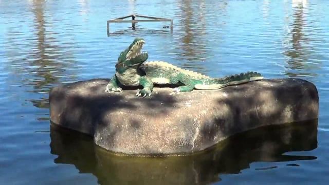 Любимое место отдыха,Торревьеха