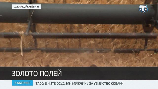 В Крыму стартовала уборочная кампания зерновых и зернобобовых культур