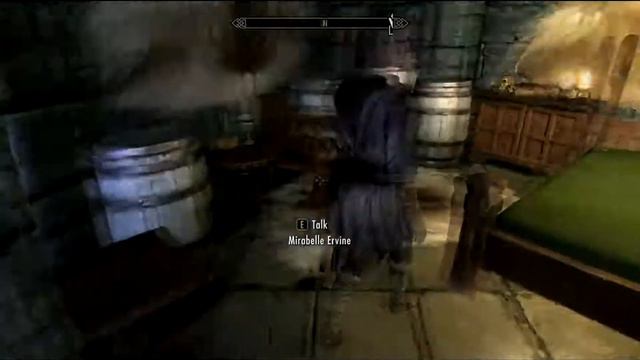 Skyrim - NPC glitch