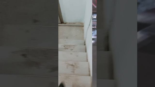 Рабочий день в разгаре