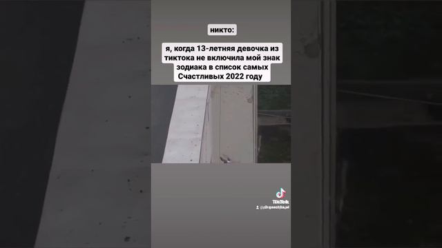 Rip Голубь
