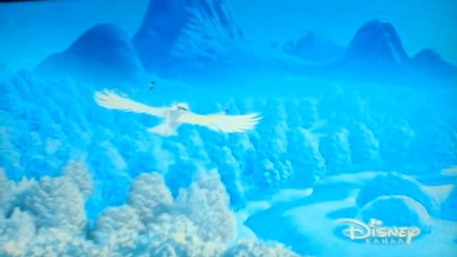 Феи : тайна зимнего леса