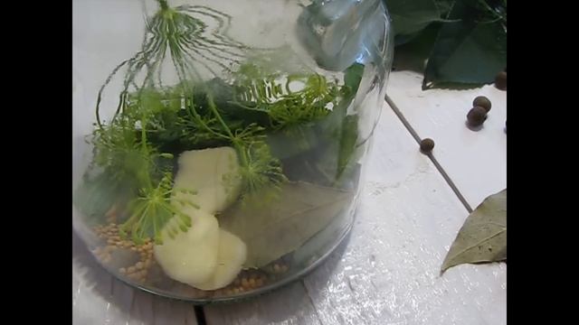Рецепт консервированных огурцов I Маринованные огурцы по-венгерски I Как правильно мариновать огурц
