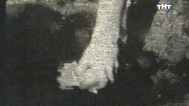 Необьяснимо но факт.Русалки