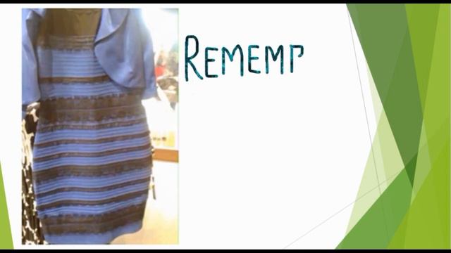 Dress Illusion — Is Seeing Perceiving?