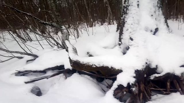 Зимняя рыбалка на озере Вселуг. 
Четверо суток. Смотрели в чёрную дыру. Эхолот пищал от удивления
