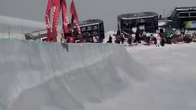 Linn Haug