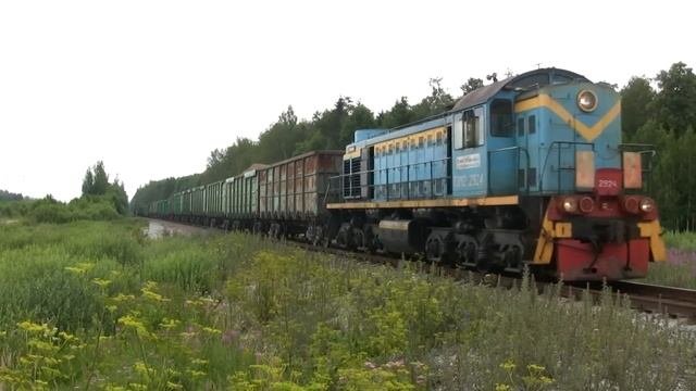 Тепловоз ТЭМ2-2924 на перегоне Карьерная-Нарвская / TEM2-2924 between Karjernaja and Narvskaja