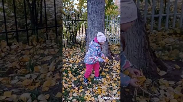 Осень#2022