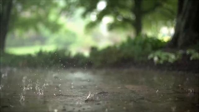 Как бороться с кратковременной памятью у детей?